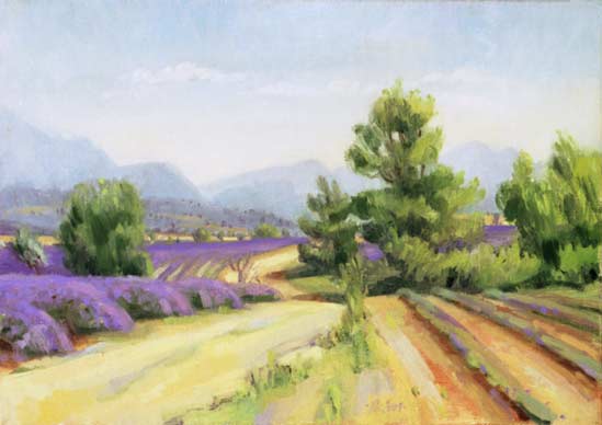 Lavendel in Puimoisson